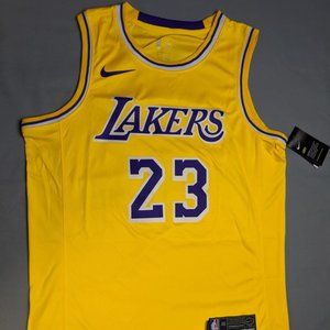 NBA LA LAKERS LEBRON JAMES NIKE SWINGMAN JERSEY